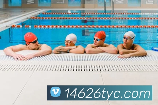 太阳城娱乐平台生态图